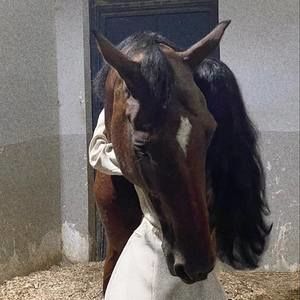 Meet your Posher, Ala